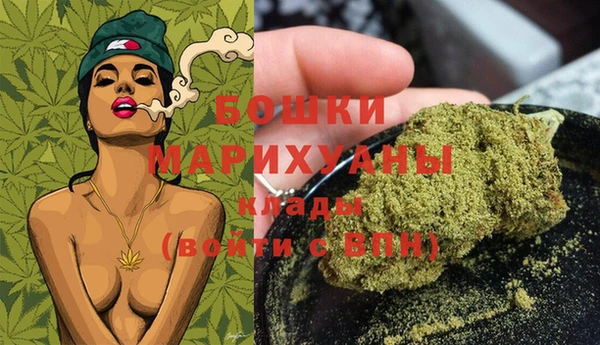 прущие грибы Волосово