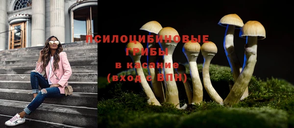 твердый Верея
