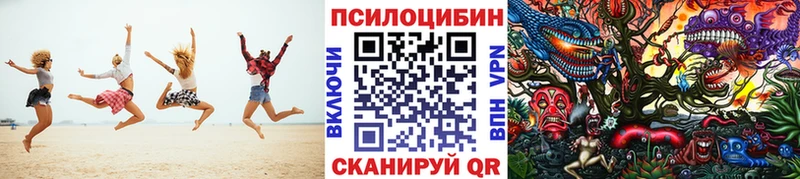Купить  Кизел  Псилоцибиновые грибы мухоморы 